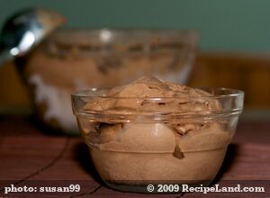 Homemade Chocolate Ice Cream