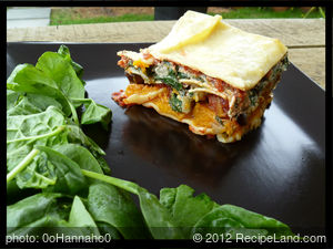 So Yummy Vegetarian lasagna