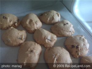 Low Fat Pumpkin Cookies