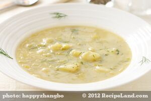 Creamless Leek & Potato Soup (Pressure Cooked)