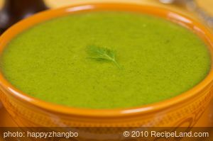 Herbed Zucchini Soup