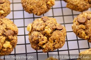 Neiman Marcus Oatmeal Chocolate Chip Cookie