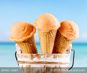 Cantaloupe Ice Cream