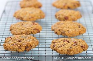 Chocolate Chunk Cranberry and Walnut Cookies