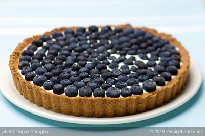 Blueberry Tart - Low Fat