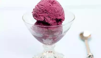 Blueberry Frozen Yogurt