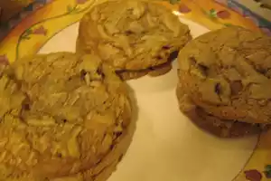 Low Calorie Low Fat Chocolate Chip Cookies