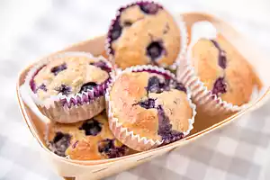 Diabetic Blueberry Muffins