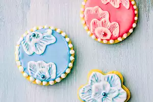 Cute Sugar Cookies