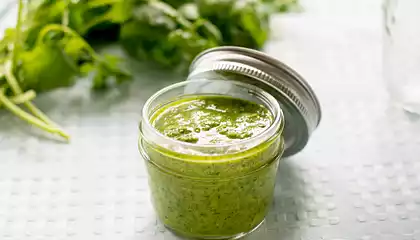 Cilantro Pesto